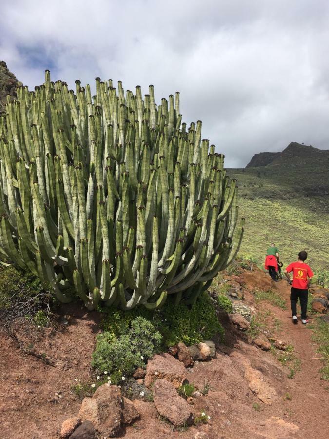 Casa Manel, La Gomera Сан-Себастьян-де-ла-Гомера Екстер'єр фото